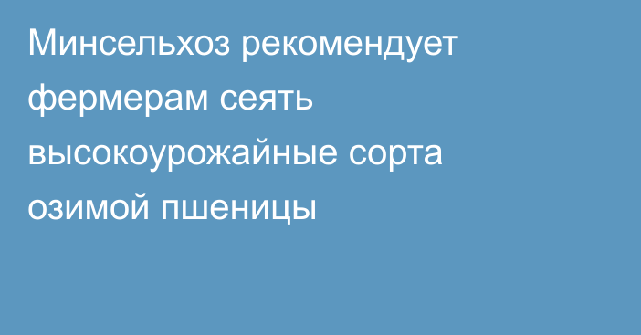 Минсельхоз рекомендует фермерам сеять высокоурожайные сорта озимой пшеницы