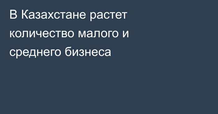 В Казахстане растет количество малого и среднего бизнеса