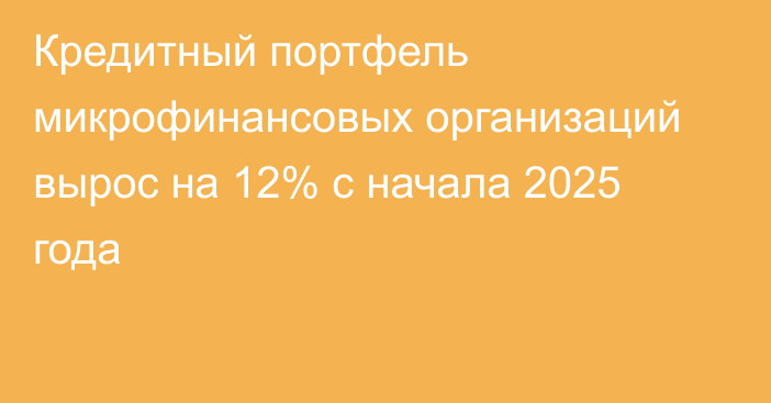 Кредитный портфель микрофинансовых организаций вырос на 12% с начала 2025 года