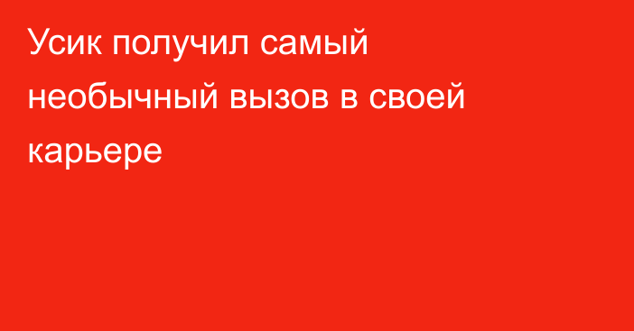 Усик получил самый необычный вызов в своей карьере