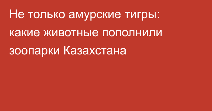 Не только амурские тигры: какие животные пополнили зоопарки Казахстана