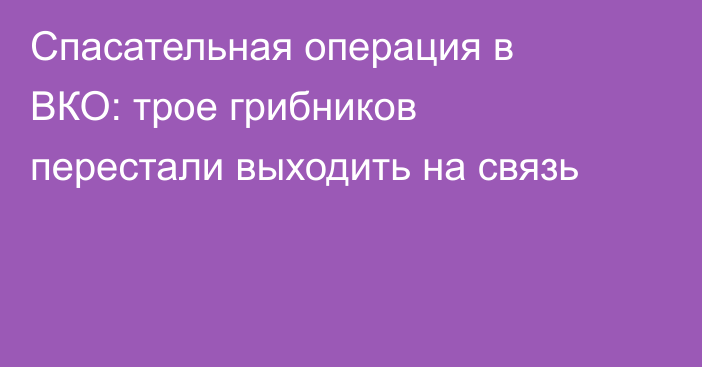 Спасательная операция в ВКО: трое грибников перестали выходить на связь