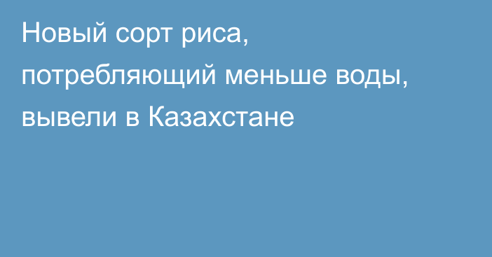 Новый сорт риса, потребляющий меньше воды, вывели в Казахстане