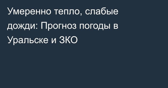 Умеренно тепло, слабые дожди: Прогноз погоды в Уральске и ЗКО
