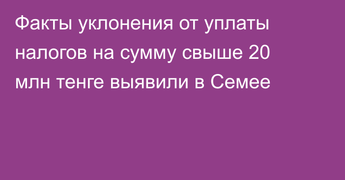 Факты уклонения от уплаты налогов на сумму свыше 20 млн тенге выявили в Семее