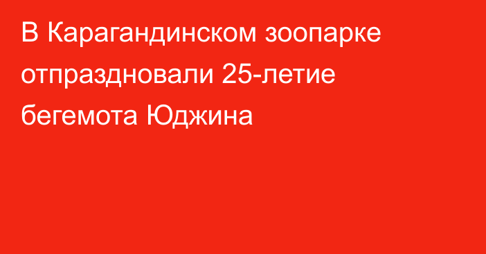 В Карагандинском зоопарке отпраздновали 25-летие бегемота Юджина