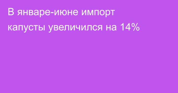 В январе-июне импорт капусты увеличился на 14% 