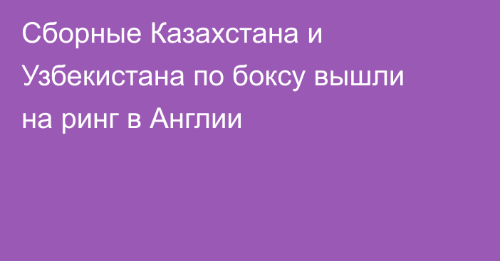Сборные Казахстана и Узбекистана по боксу вышли на ринг в Англии