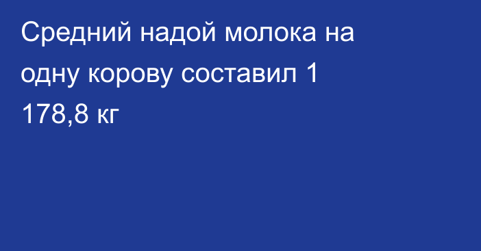 Средний надой молока на одну корову составил 1 178,8 кг