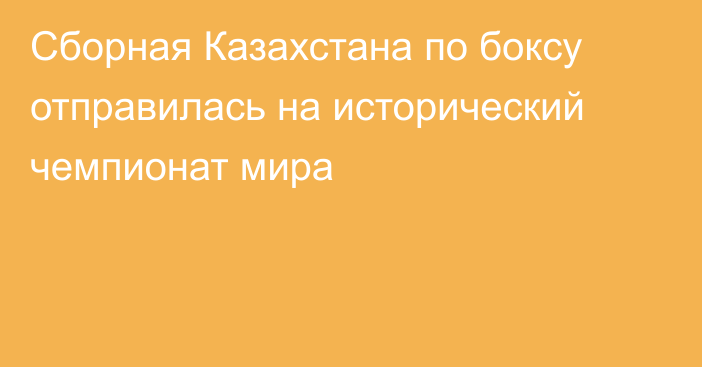 Сборная Казахстана по боксу отправилась на исторический чемпионат мира