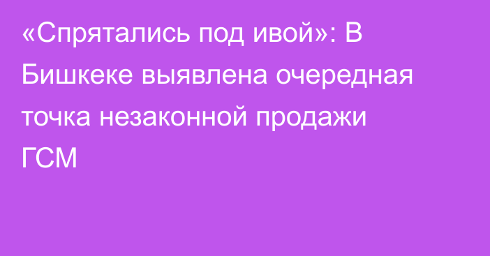 «Спрятались под ивой»: В Бишкеке выявлена очередная точка незаконной продажи ГСМ