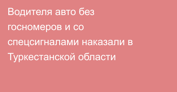 Водителя авто без госномеров и со спецсигналами наказали в Туркестанской области