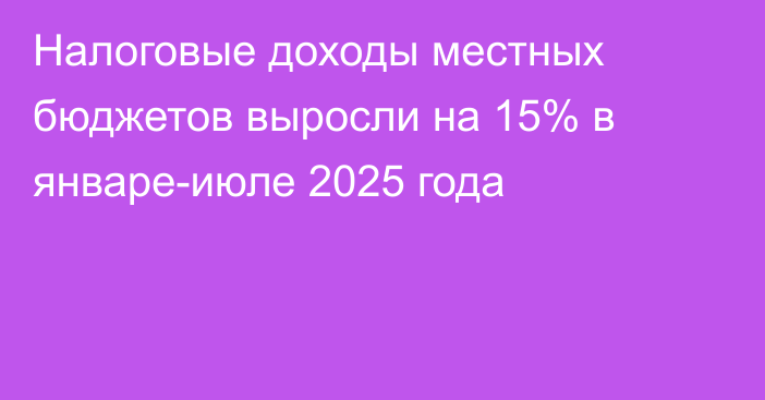 Налоговые доходы местных бюджетов выросли на 15% в январе-июле 2025 года