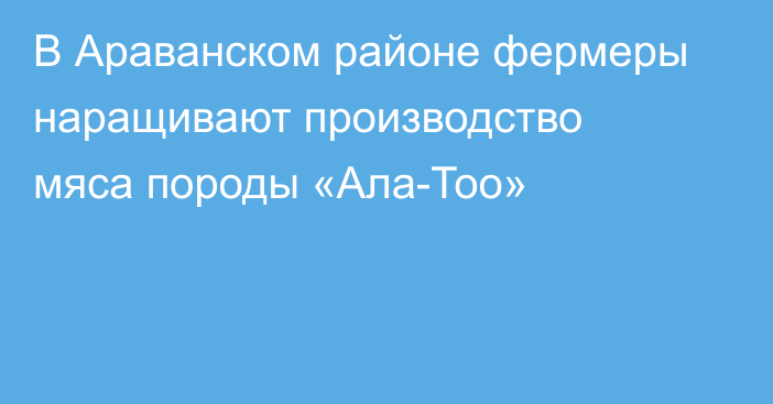 В Араванском районе фермеры наращивают производство мяса породы «Ала-Тоо»