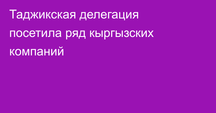 Таджикская делегация посетила ряд кыргызских компаний