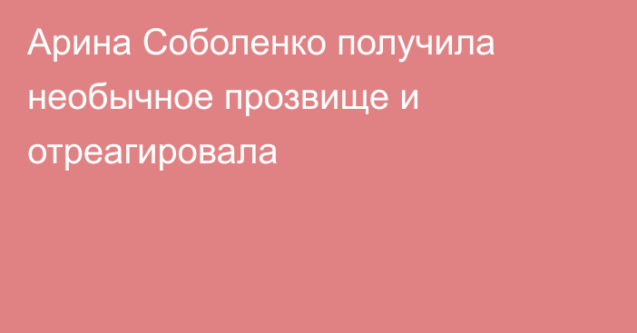 Арина Соболенко получила необычное прозвище и отреагировала
