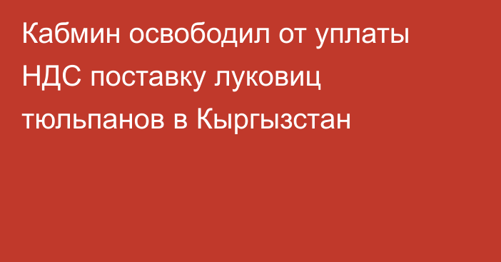 Кабмин освободил от уплаты НДС поставку луковиц тюльпанов в Кыргызстан