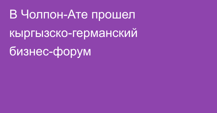 В Чолпон-Ате прошел кыргызско-германский бизнес-форум