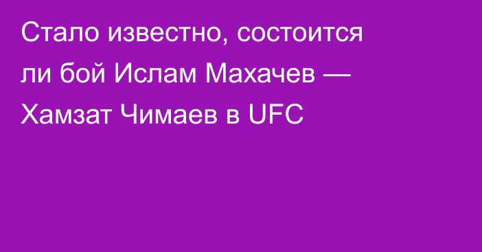 Стало известно, состоится ли бой Ислам Махачев — Хамзат Чимаев в UFC