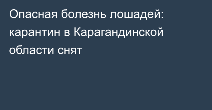 Опасная болезнь лошадей: карантин в Карагандинской области снят