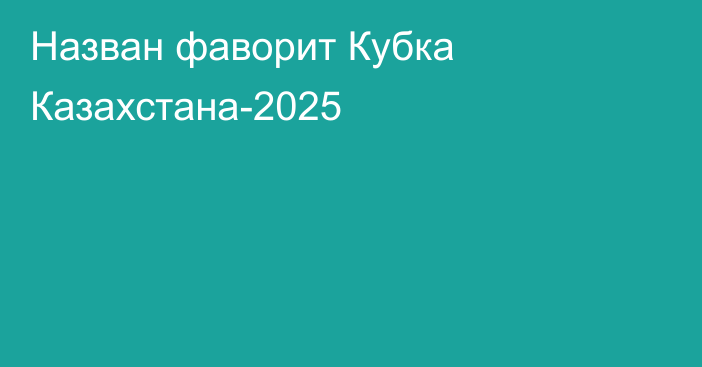 Назван фаворит Кубка Казахстана-2025