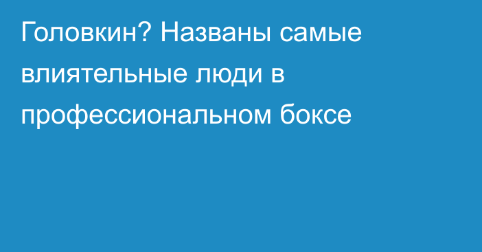 Головкин? Названы самые влиятельные люди в профессиональном боксе