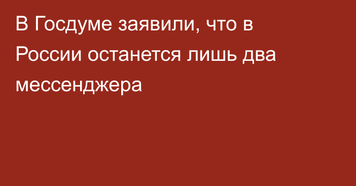 В Госдуме заявили, что в России останется лишь два мессенджера