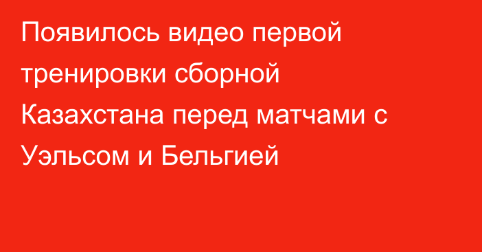 Появилось видео первой тренировки сборной Казахстана перед матчами с Уэльсом и Бельгией