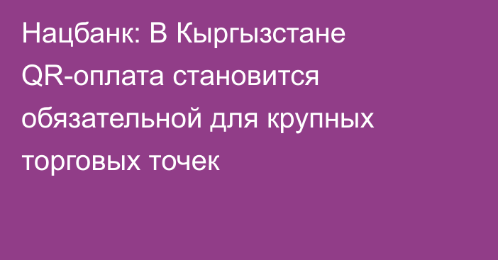 Нацбанк: В Кыргызстане QR-оплата становится обязательной для крупных торговых точек