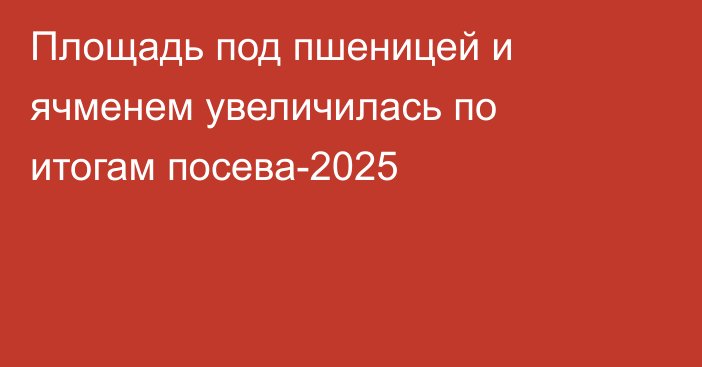 Площадь под пшеницей и ячменем увеличилась по итогам посева-2025