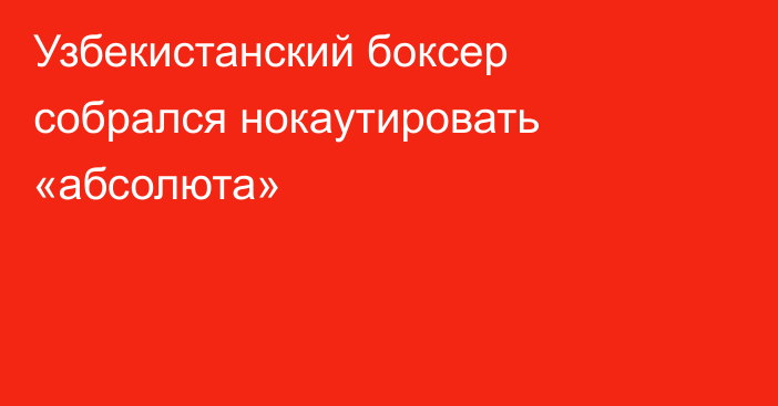 Узбекистанский боксер собрался нокаутировать «абсолюта»