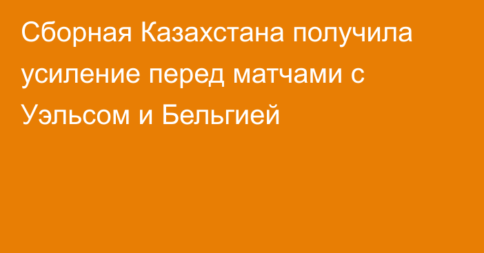 Сборная Казахстана получила усиление перед матчами с Уэльсом и Бельгией