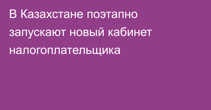 В Казахстане поэтапно запускают новый кабинет налогоплательщика