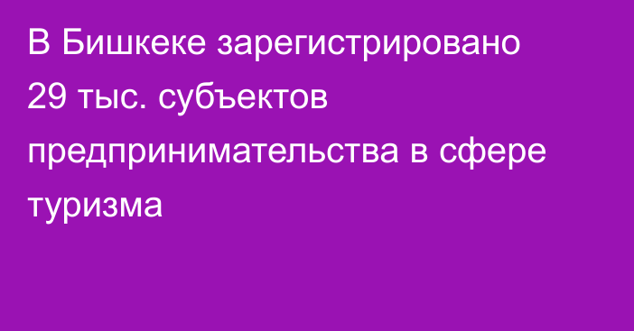 В Бишкеке зарегистрировано 29 тыс. субъектов предпринимательства в сфере туризма