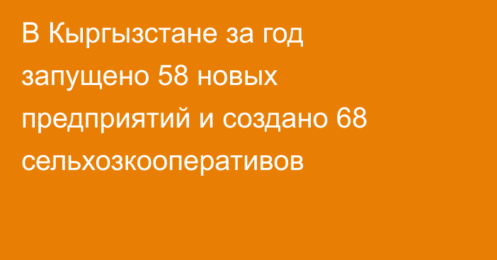 В Кыргызстане за год запущено 58 новых предприятий и создано 68 сельхозкооперативов
