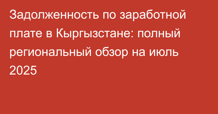 Задолженность по заработной плате в Кыргызстане: полный региональный обзор на июль 2025