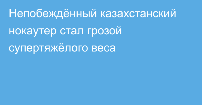 Непобеждённый казахстанский нокаутер стал грозой супертяжёлого веса