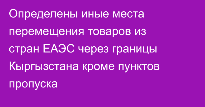 Определены иные места перемещения товаров из стран ЕАЭС через границы Кыргызстана кроме пунктов пропуска