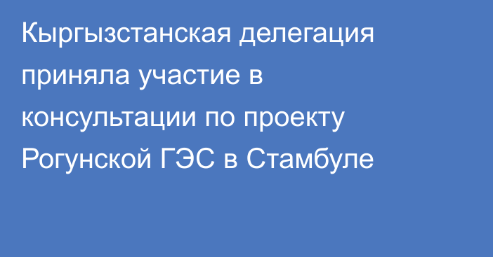 Кыргызстанская делегация приняла участие в консультации по проекту Рогунской ГЭС в Стамбуле