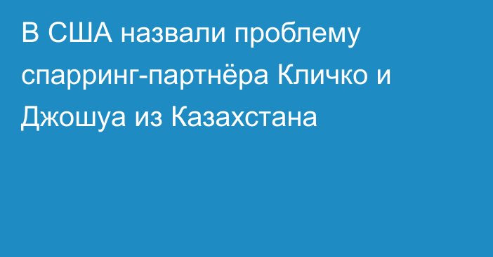 В США назвали проблему спарринг-партнёра Кличко и Джошуа из Казахстана