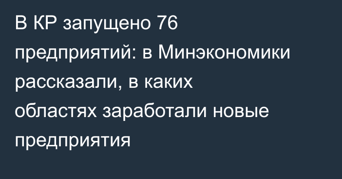 В КР запущено 76 предприятий: в Минэкономики рассказали, в каких областях заработали новые предприятия