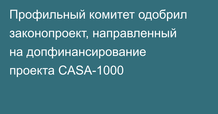 Профильный комитет одобрил законопроект, направленный на допфинансирование проекта CASA-1000