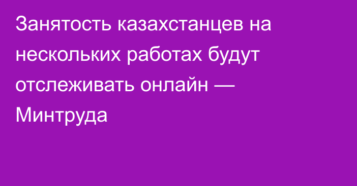 Занятость казахстанцев на нескольких работах будут отслеживать онлайн — Минтруда