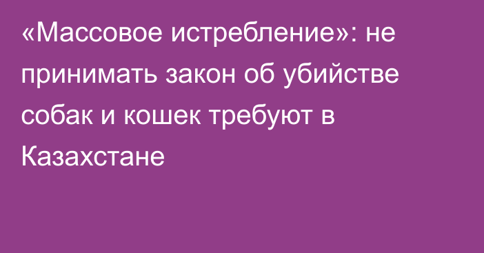 «Массовое истребление»: не принимать закон об убийстве собак и кошек требуют в Казахстане