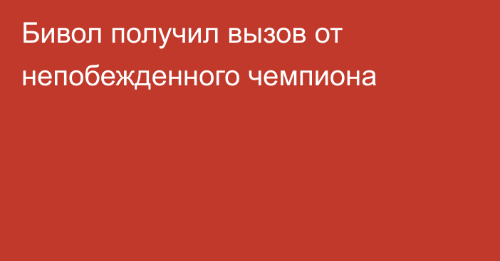 Бивол получил вызов от непобежденного чемпиона