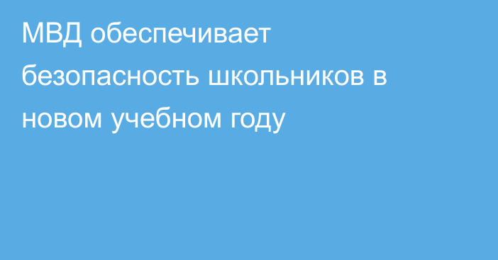 МВД обеспечивает безопасность школьников в новом учебном году