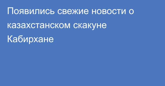 Появились свежие новости о казахстанском скакуне Кабирхане