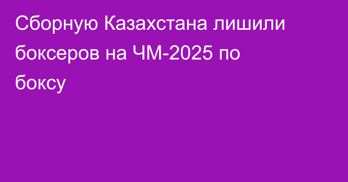 Сборную Казахстана лишили боксеров на ЧМ-2025 по боксу