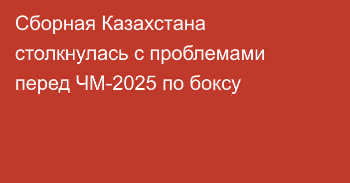 Сборная Казахстана столкнулась с проблемами перед ЧМ-2025 по боксу