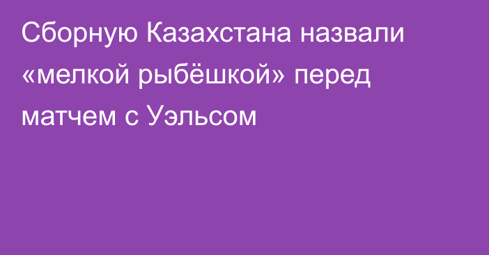 Сборную Казахстана назвали «мелкой рыбёшкой» перед матчем с Уэльсом